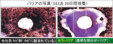セラバリア画像1